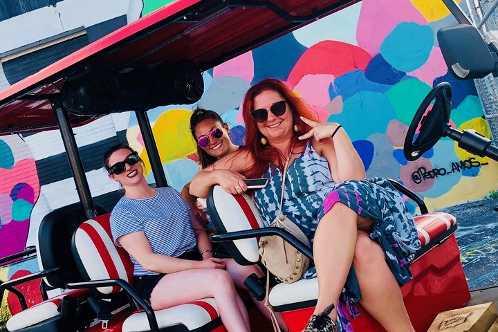 1 Hour WYNWOOD BUGGIES tour photo 2