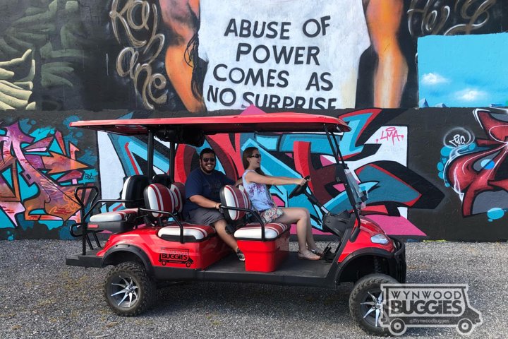 1 Hour WYNWOOD BUGGIES tour photo 4