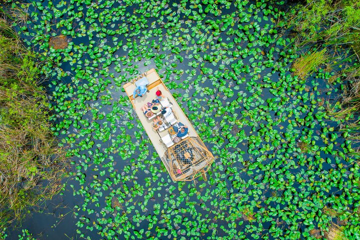60 min. Everglades Airboat ride & pick-up ,small group +pro guide photo 4