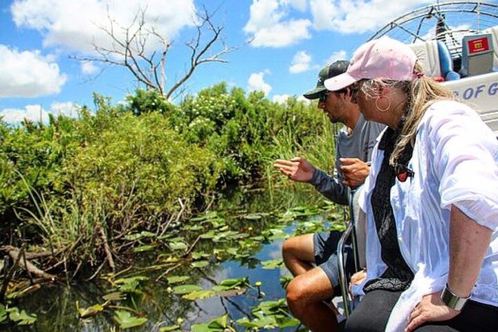 90 Minute Miami Everglades Semi Private Airboat Tour photo 4
