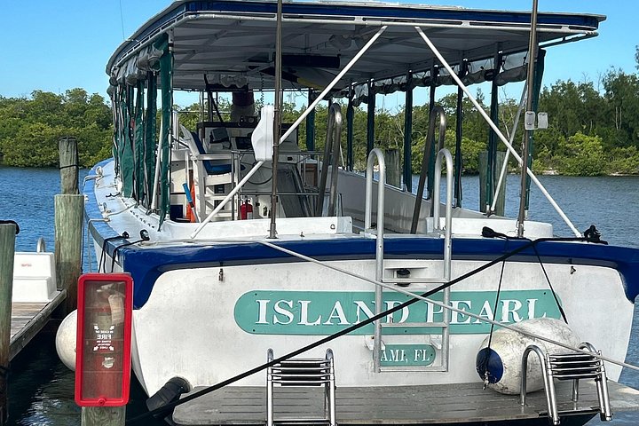 A Snorkel Tour with a Twist of History, Marathon, Florida Keys photo 3