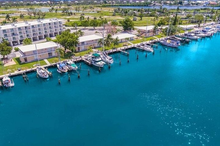 A Snorkel Tour with a Twist of History, Marathon, Florida Keys photo 4