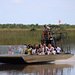 Airboat Tour photo 2