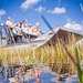 Airboat Tour