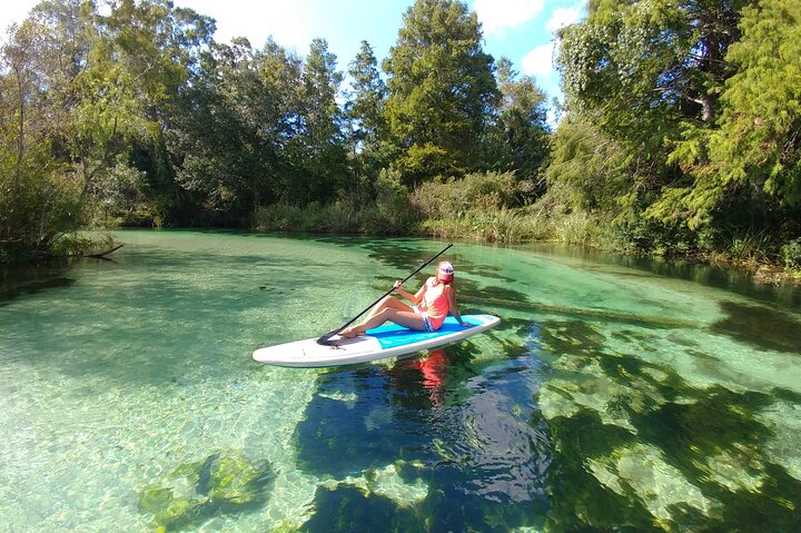 Biscayne Bay Island and Nature Exploration photo 2