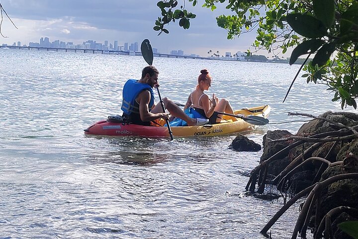 Biscayne Bay Island and Nature Exploration photo 3