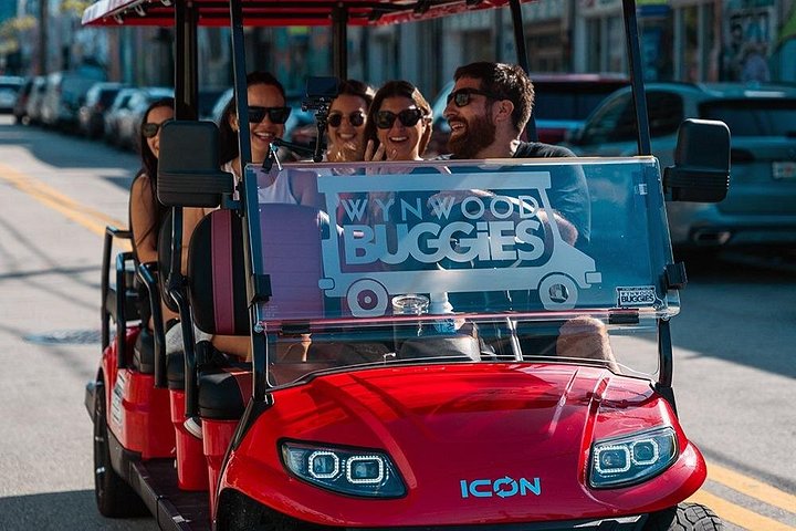 Direct Entry: Wynwood Walls & Neighborhood Buggy Tour photo 2