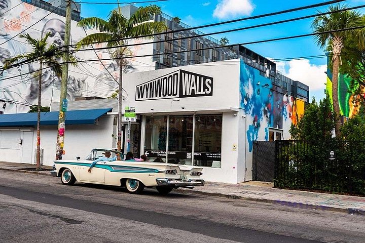 Direct Entry: Wynwood Walls & Neighborhood Buggy Tour photo 3