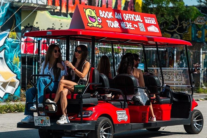 Direct Entry: Wynwood Walls & Neighborhood Buggy Tour photo 4