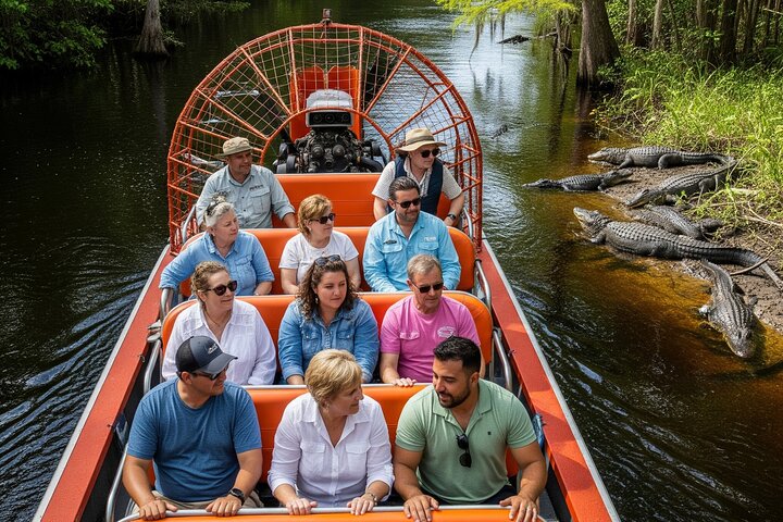 Everglades Airboat Alligator Tour from Port or South Beach photo 3