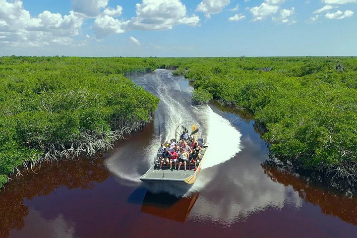 Everglades Airboat Experience – Wildlife & Wetlands photo 3