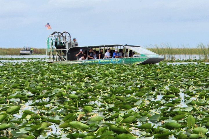 Everglades Alligator Airboat Tour with Bus transfer from Miami photo 2