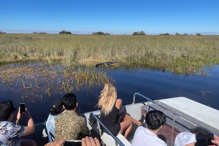 Everglades Alligator Spotting Airboat Tour with Free Pick Up photo 2