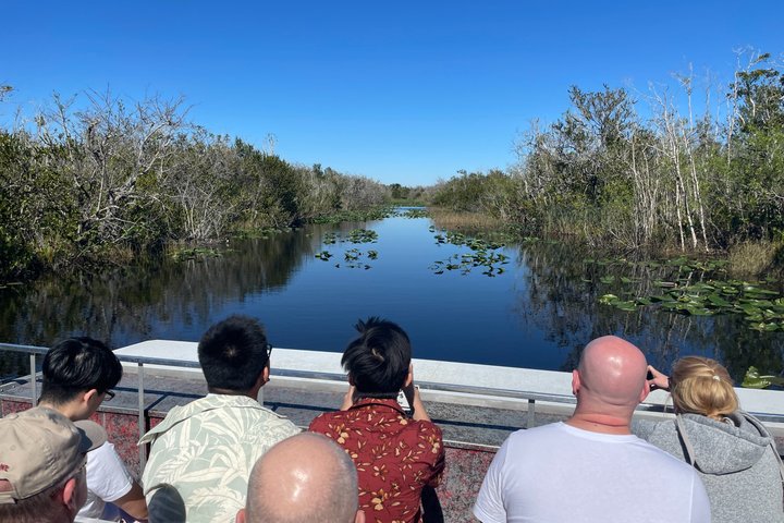 Everglades Alligator Spotting Airboat Tour with Free Pick Up photo 3