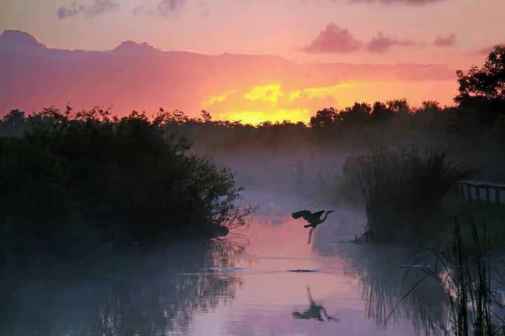 Everglades National Park: Self Guided Driving Audio Tour photo 3