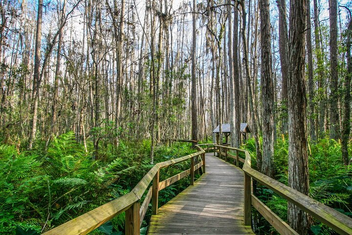 Everglades National Park: Self Guided Driving Audio Tour photo 4