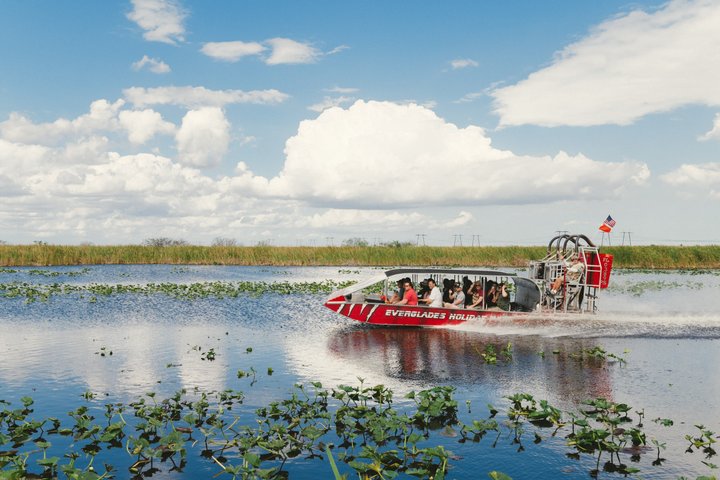 Everglades Small-Group Tour from Miami with Transportation photo 2