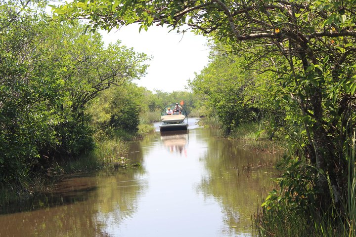 Everglades Tour with professional Tourguide inclusive pickup photo 4