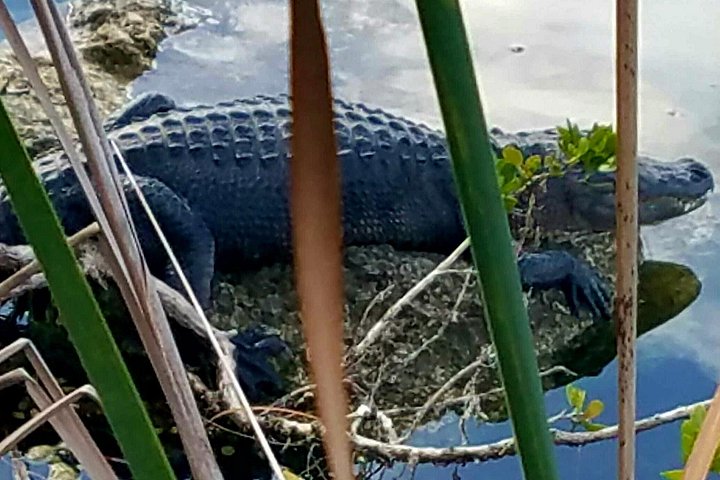 Florida Keys Nature & History Tour from Key West photo 2