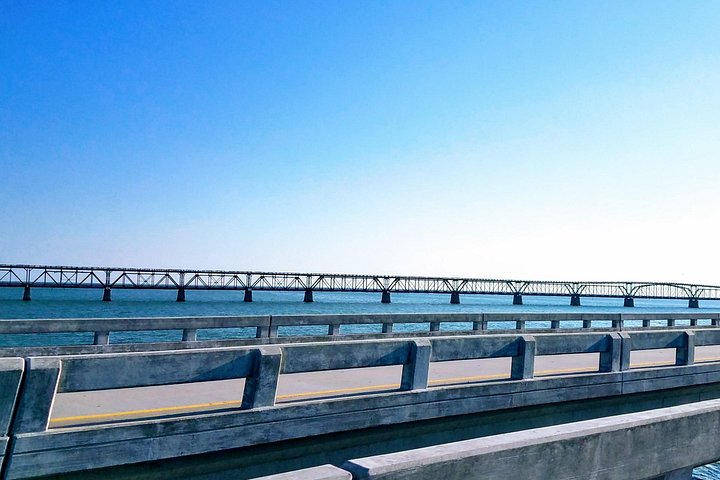 Florida Keys Nature & History Tour from Key West photo 4