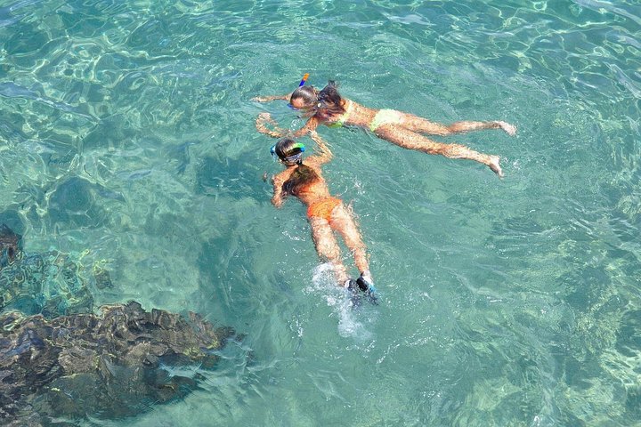 Florida Keys: Snorkel adventure & Sandbar Trip photo 2