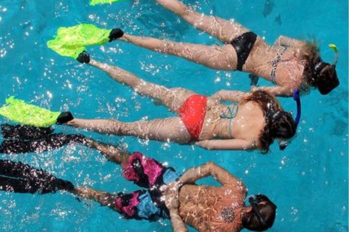 Florida Keys: Snorkel adventure & Sandbar Trip photo 4