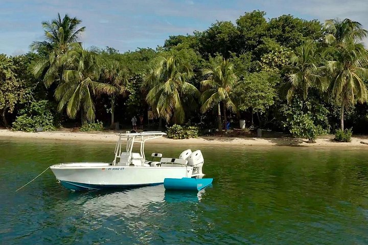 Full Day Boat Charter Formula Thunderbird photo 3