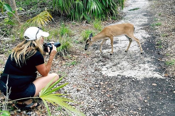 Full-Day Tour of Florida Keys Including Aquarium Encounters from Key West photo 2