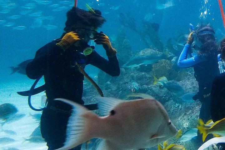 Full-Day Tour of Florida Keys Including Aquarium Encounters from Key West photo 4