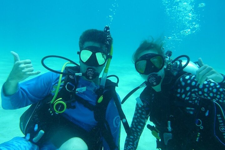 Half Day Scuba Diving Trip in the Florida Keys photo 3