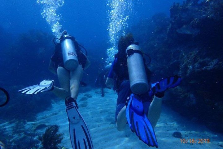 Half Day Scuba Diving Trip in the Florida Keys