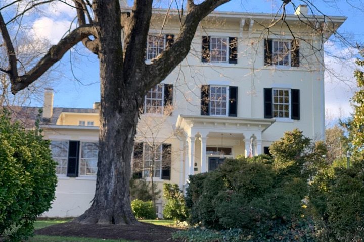 Historic Leesburg Guided Walking Tour photo 3