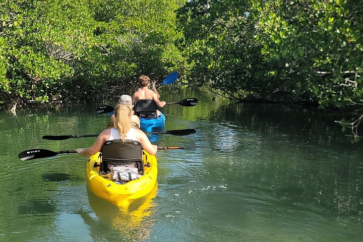 Kayak through Mangrove Forests in the Florida Keys photo 2