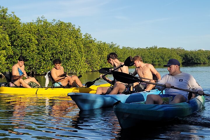 Kayak through Mangrove Forests in the Florida Keys photo 3