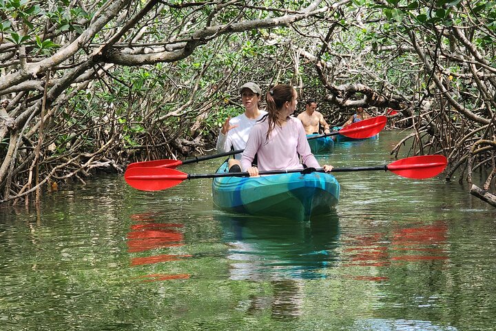 Kayak through Mangrove Forests in the Florida Keys photo 4
