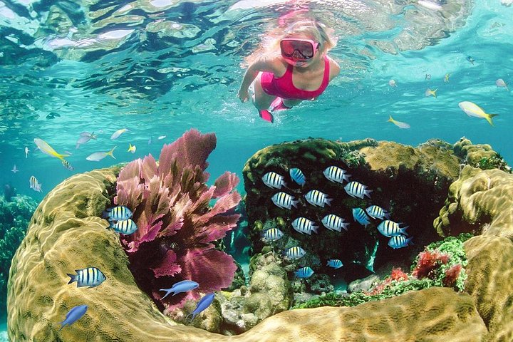 Key Largo Snorkeling Tour with Mask plus Fins and Vest Included photo 2