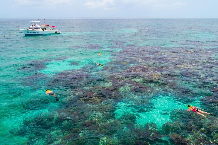 Key Largo Snorkeling Tour with Mask plus Fins and Vest Included