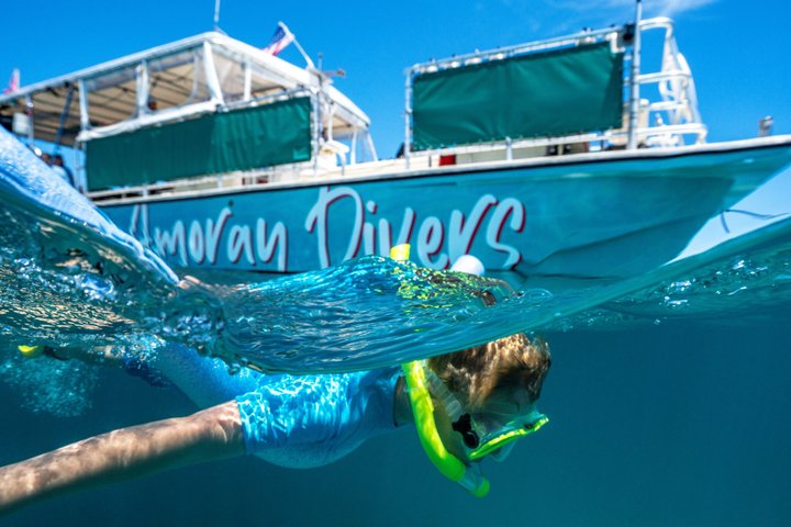 Key Largo Snorkeling Trip to the Florida Reef (Boat Tour) photo 3