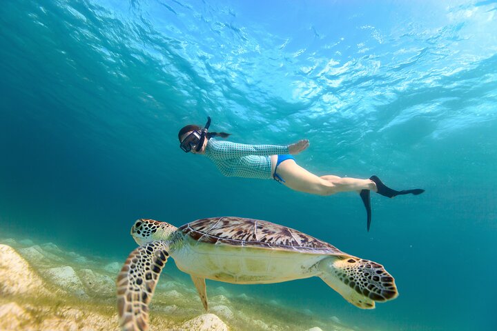 Key Largo Snorkeling Trip to the Florida Reef (Boat Tour) photo 4