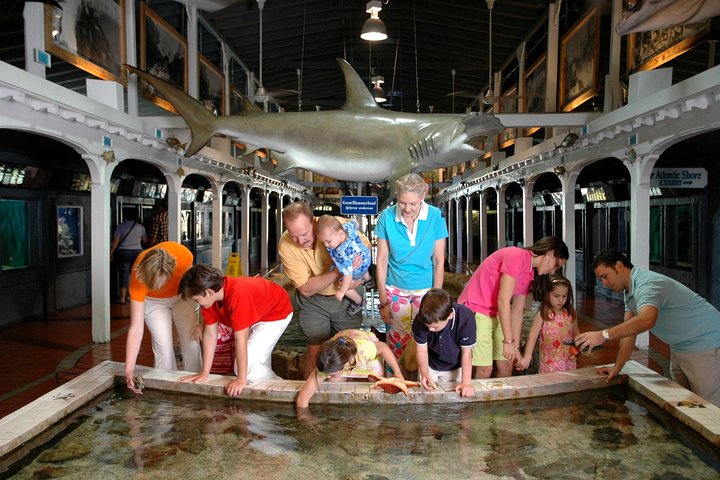 Key West Aquarium Admission photo 2