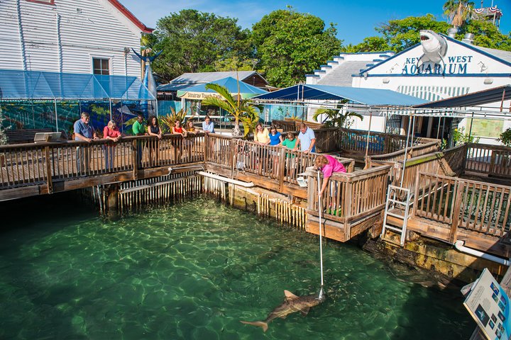 Key West Aquarium Admission