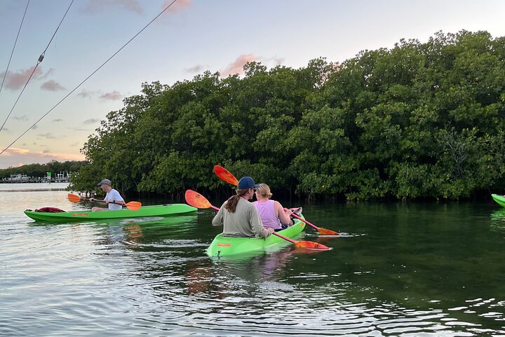 Key West Clear Kayak Eco Tour photo 2