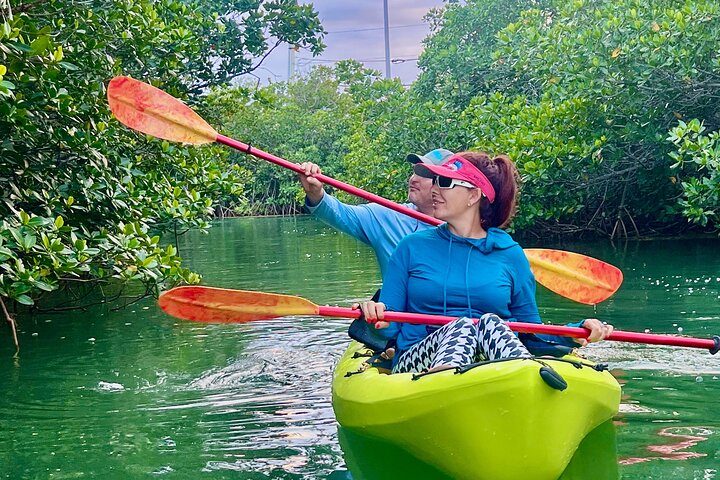 Key West Clear Kayak Eco Tour photo 3