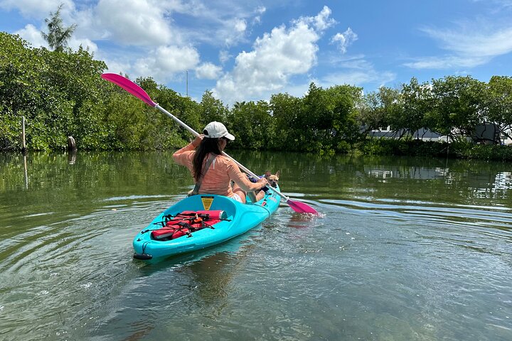Key West Clear Kayak Eco Tour photo 4