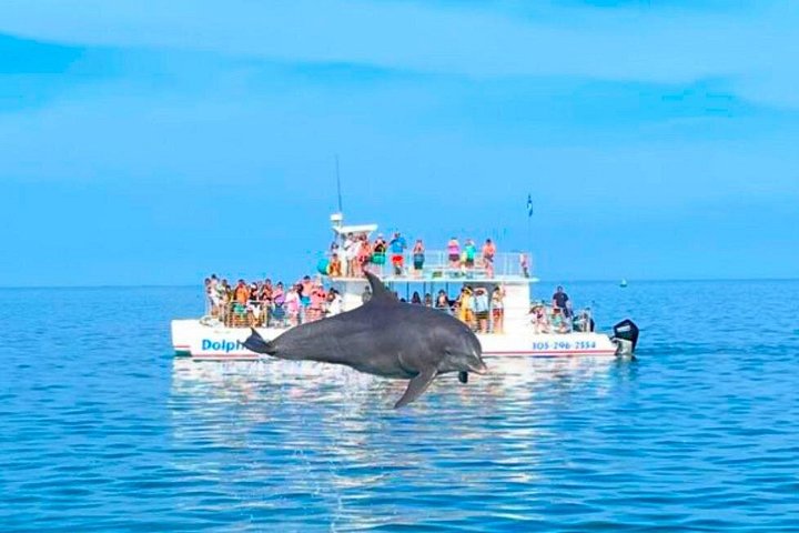 Key West Dolphin and Snorkel Experience photo 3