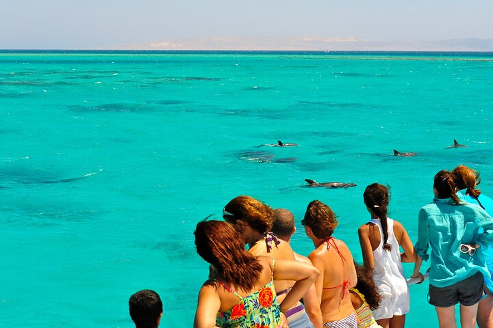 Key West Dolphin and Snorkel Experience photo 4