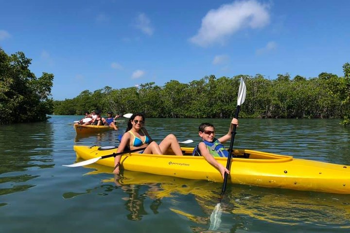 Key West Mangrove Kayak Eco Tour photo 2