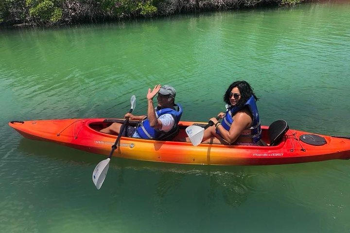 Key West Mangrove Kayak Eco Tour photo 4