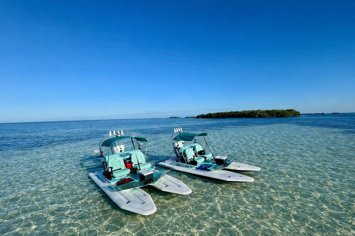 Key West Mini Catamaran Eco Tour photo 4