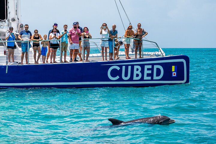 Key West's Favorite Afternoon Dolphin Sail photo 3